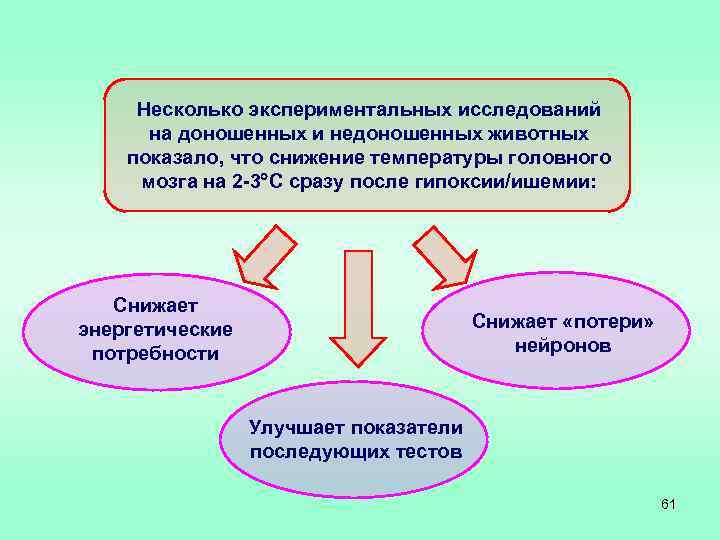 Несколько экспериментальных исследований на доношенных и недоношенных животных показало, что снижение температуры головного мозга