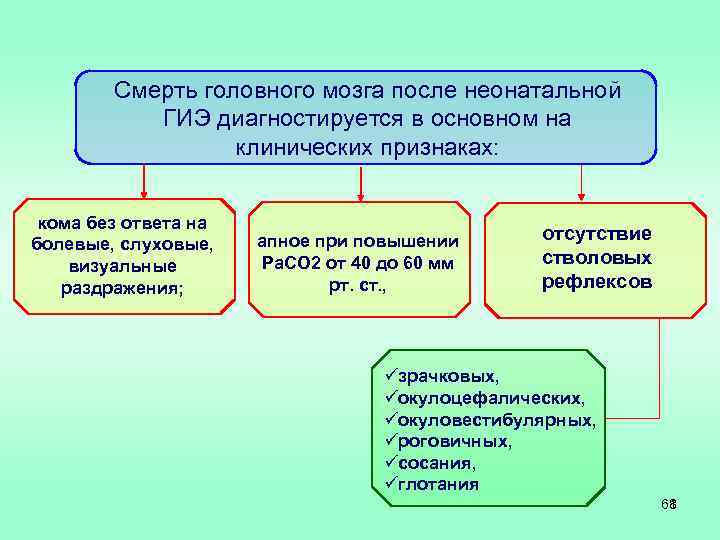 Смерть головного мозга после неонатальной ГИЭ диагностируется в основном на клинических признаках: кома без