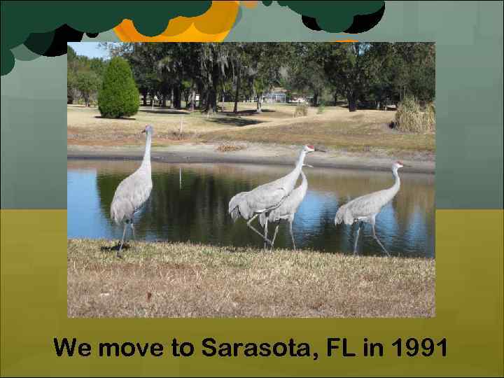 We move to Sarasota, FL in 1991 