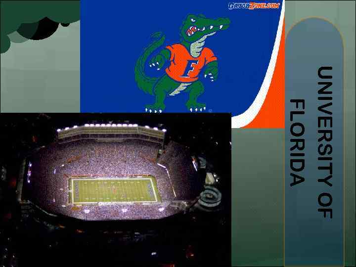 UNIVERSITY OF FLORIDA 