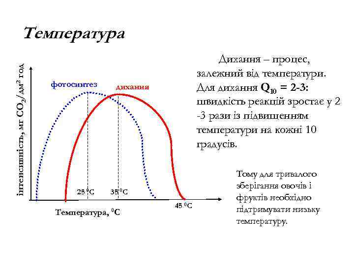 інтенсивність, мг СО 2/дм 2 год Температура фотосинтез 25 0 С Дихання – процес,