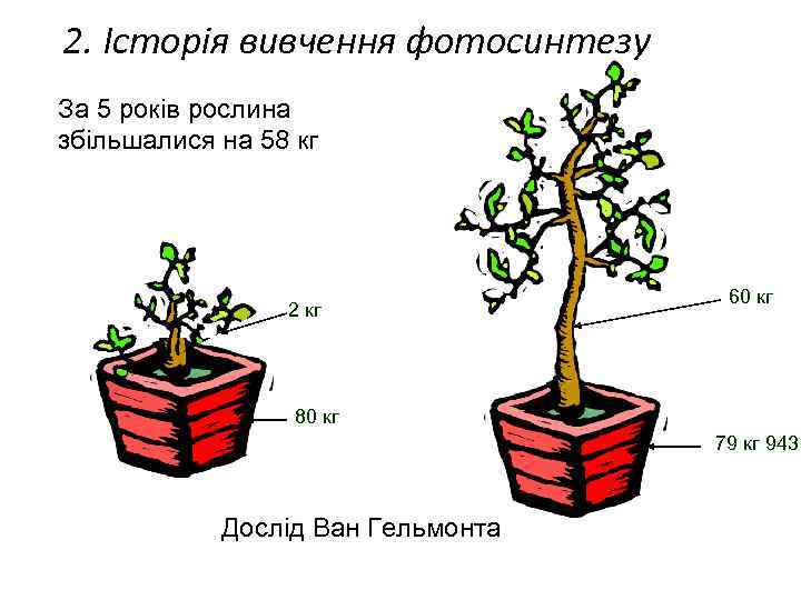 2. Історія вивчення фотосинтезу За 5 років рослина збільшалися на 58 кг 2 кг