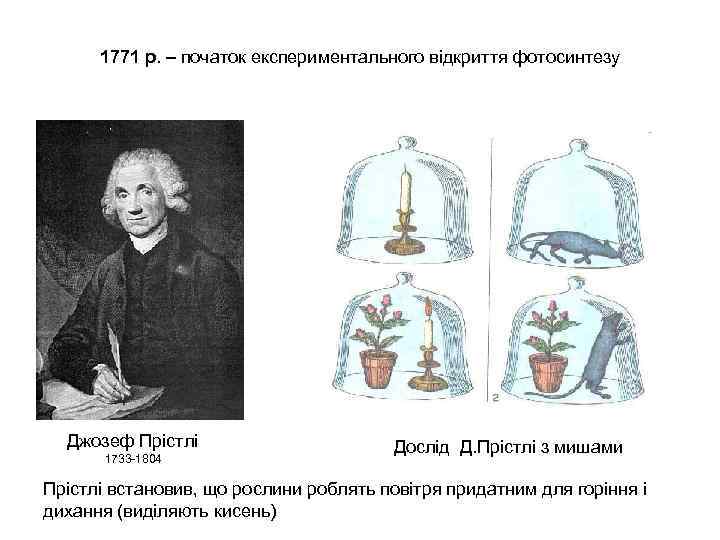 1771 р. – початок експериментального відкриття фотосинтезу Джозеф Прістлі 1733 -1804 Дослід Д. Прістлі