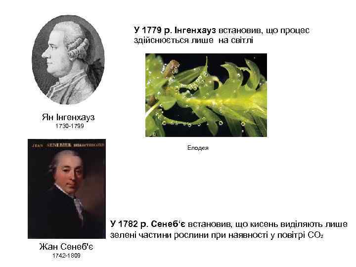 У 1779 р. Інгенхауз встановив, що процес здійснюється лише на світлі Ян Інгенхауз 1730