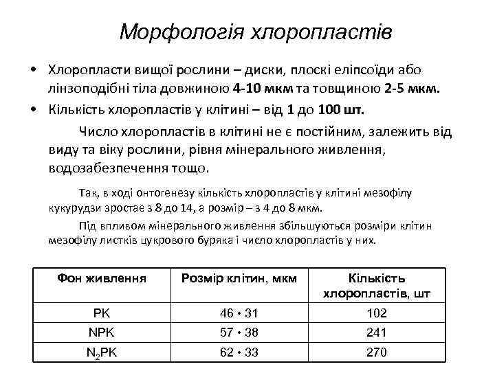 Морфологія хлоропластів • Хлоропласти вищої рослини – диски, плоскі еліпсоїди або лінзоподібні тіла довжиною