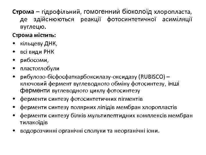 Строма – гідрофільний, гомогенний біоколоїд хлоропласта, де здійснюються реакції фотосинтетичної асиміляції вуглецю. Строма містить: