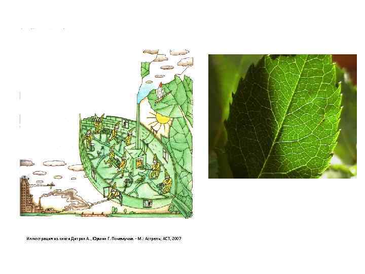 Иллюстрация из книги Дитрих А. , Юрмин Г. Почемучка. - М. : Астрель; АСТ,