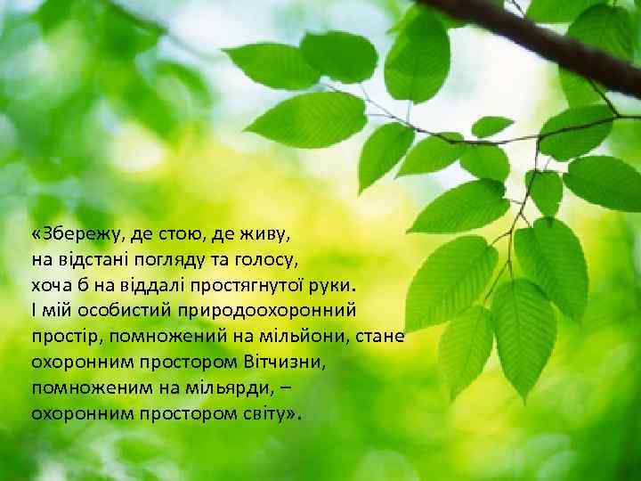  «Збережу, де стою, де живу, на відстані погляду та голосу, хоча б на
