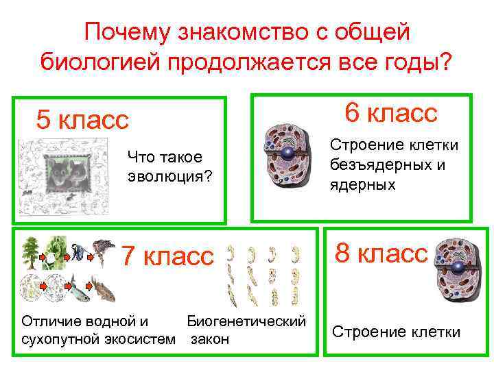 Почему знакомство с общей биологией продолжается все годы? 5 класс Что такое эволюция? 7