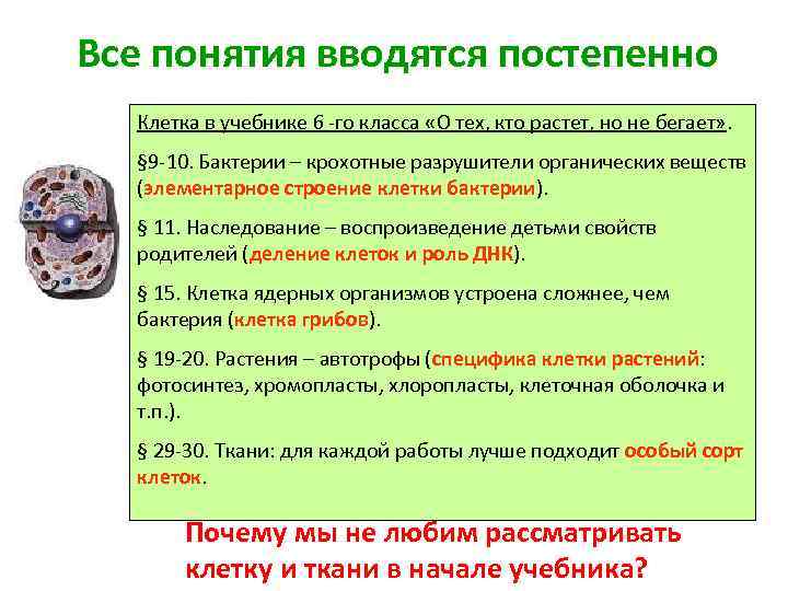 Все понятия вводятся постепенно Клетка в учебнике 6 -го класса «О тех, кто растет,