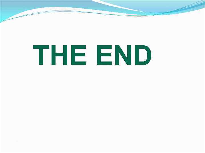 THE END 