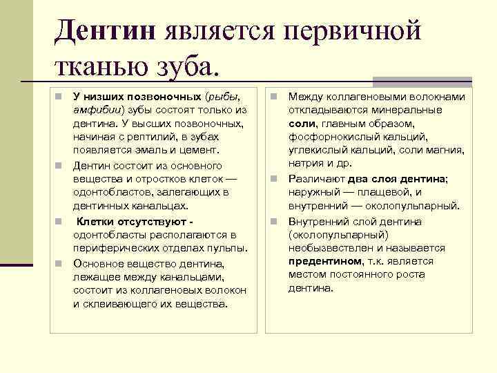 Дентин является первичной тканью зуба. У низших позвоночных (рыбы, амфибии) зубы состоят только из