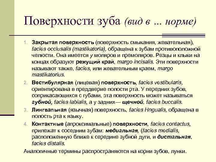 Поверхности зуба (вид в … норме) 1. Закрытая поверхность (поверхность смыкания, жевательная), facies occlusalis