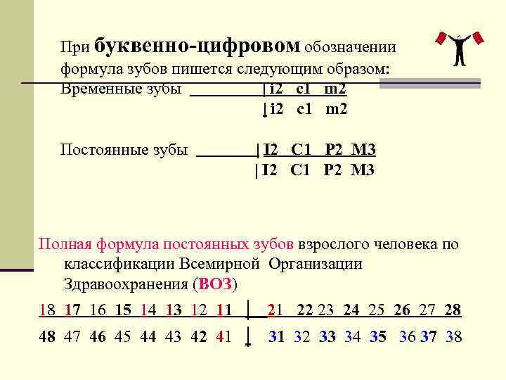 При буквенно-цифровом обозначении формула зубов пишется следующим образом: Временные зубы | i 2 c