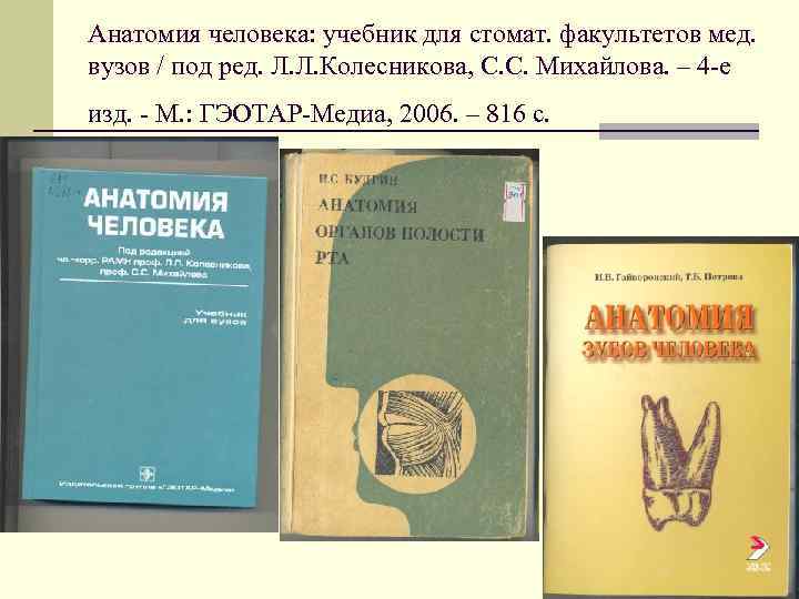 Анатомия человека: учебник для стомат. факультетов мед. вузов / под ред. Л. Л. Колесникова,