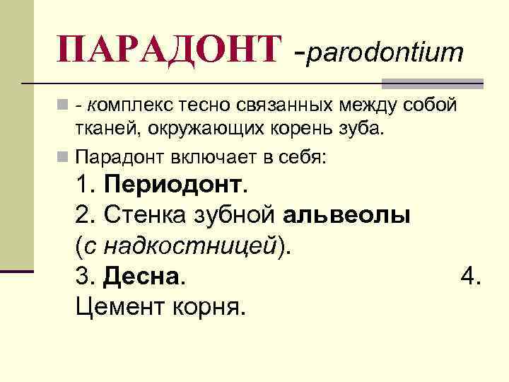 ПАРАДОНТ -parodontium n - комплекс тесно связанных между собой тканей, окружающих корень зуба. n