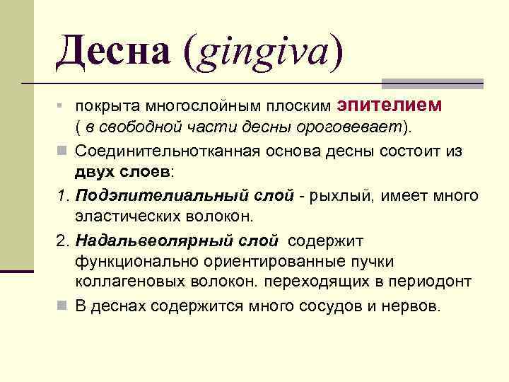 Десна (gingiva) § покрыта многослойным плоским эпителием ( в свободной части десны ороговевает). n