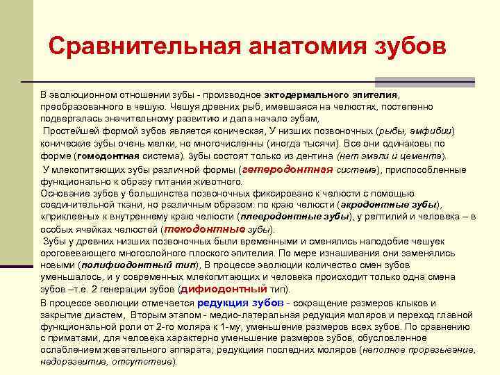 Сравнительная анатомия зубов В эволюционном отношении зубы производное эктодермального эпителия, преобразованного в чешую. Чешуя