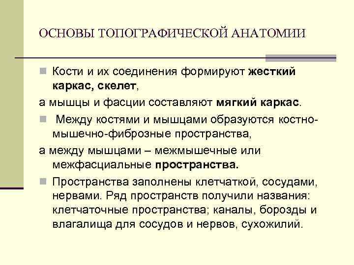 ОСНОВЫ ТОПОГРАФИЧЕСКОЙ АНАТОМИИ n Кости и их соединения формируют жесткий каркас, скелет, а мышцы