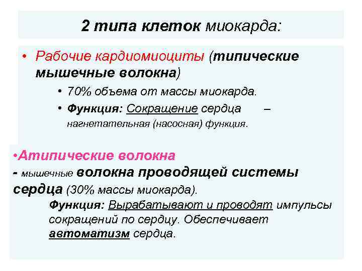 2 типа клеток миокарда: • Рабочие кардиомиоциты (типические мышечные волокна) • 70% объема от