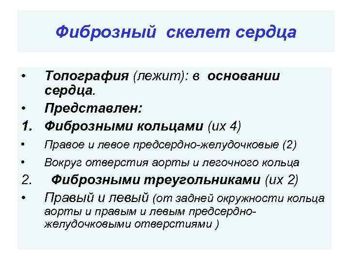 Фиброзный скелет сердца • Топография (лежит): в основании сердца. • Представлен: 1. Фиброзными кольцами