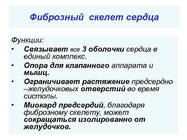 Фиброзный скелет сердца Функции: • Связывает все 3 оболочки сердца в единый комплекс. •