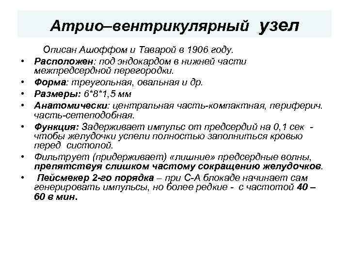 Атрио–вентрикулярный узел • • Описан Ашоффом и Таварой в 1906 году. Расположен: под эндокардом