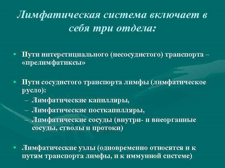 Лимфатическая система включает в себя три отдела: • Пути интерстициального (несосудистого) транспорта – «прелимфатиксы»