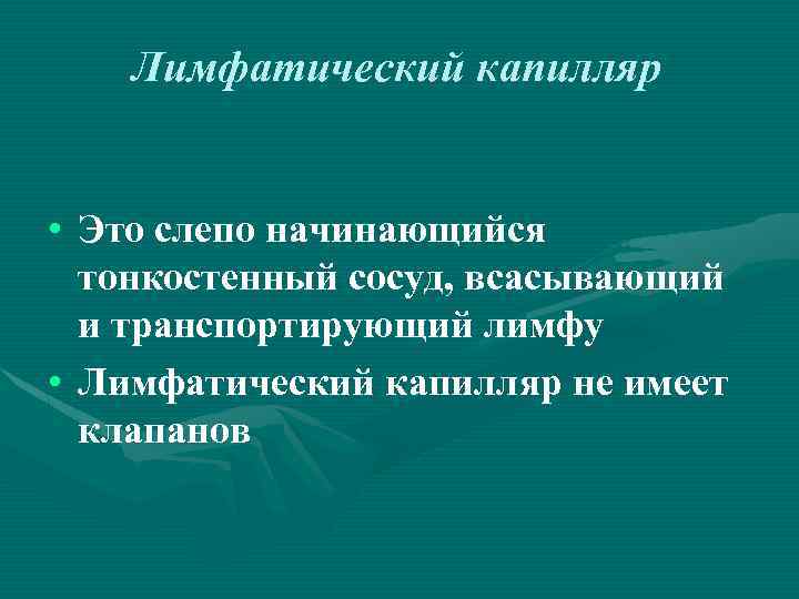 Лимфатический капилляр • Это слепо начинающийся тонкостенный сосуд, всасывающий и транспортирующий лимфу • Лимфатический