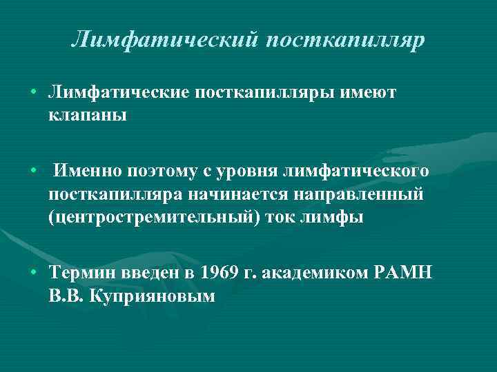 Лимфатический посткапилляр • Лимфатические посткапилляры имеют клапаны • Именно поэтому с уровня лимфатического посткапилляра