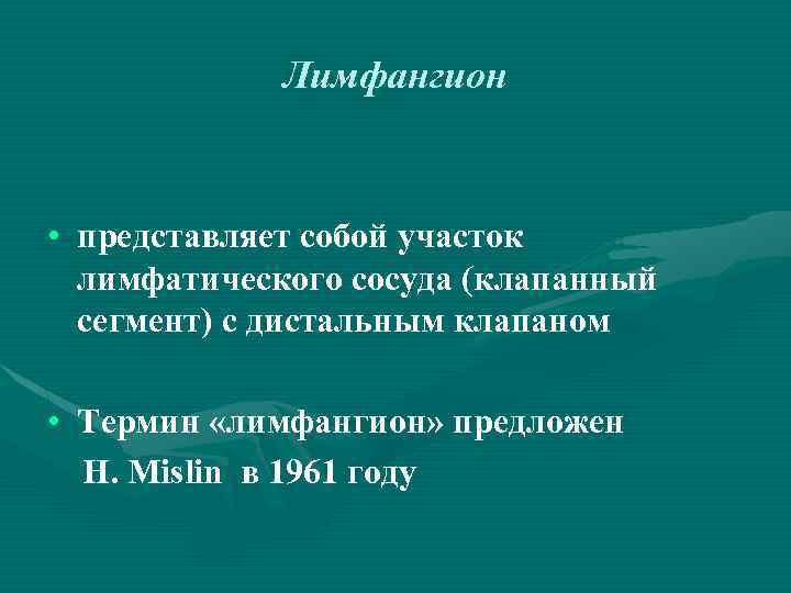 Лимфангион • представляет собой участок лимфатического сосуда (клапанный сегмент) с дистальным клапаном • Термин