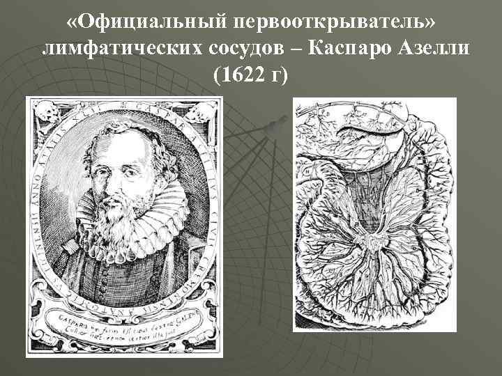  «Официальный первооткрыватель» лимфатических сосудов – Каспаро Азелли (1622 г) 