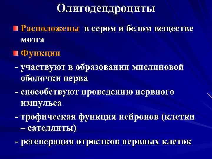 Олигодендроциты Расположены в сером и белом веществе мозга Функции - участвуют в образовании миелиновой