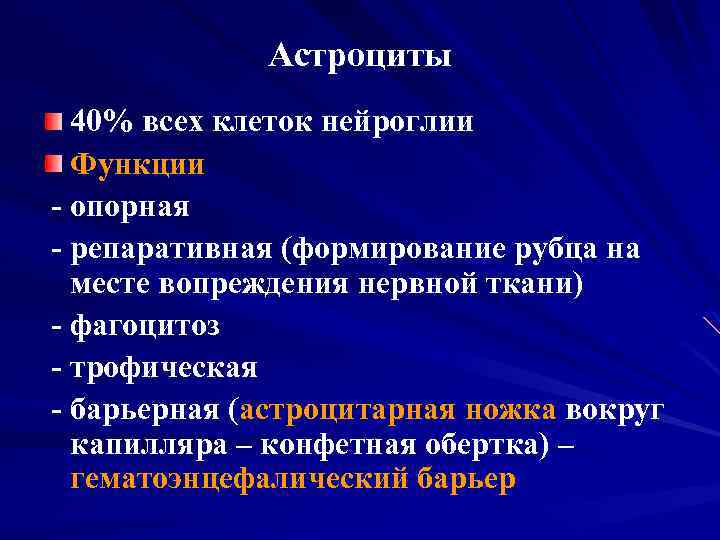 Астроциты 40% всех клеток нейроглии Функции - опорная - репаративная (формирование рубца на месте