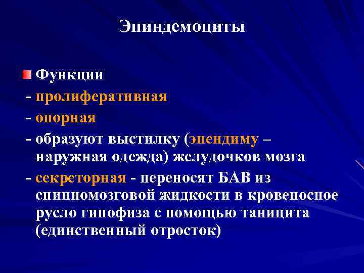 Эпиндемоциты Функции - пролиферативная - опорная - образуют выстилку (эпендиму – наружная одежда) желудочков