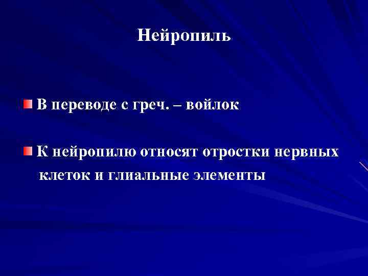 Нейропиль В переводе с греч. – войлок К нейропилю относят отростки нервных клеток и