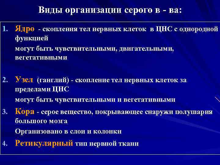 Виды организации серого в - ва: 1. Ядро - скопления тел нервных клеток в