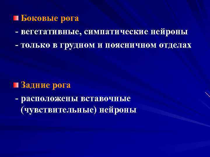 Боковые рога - вегетативные, симпатические нейроны - только в грудном и поясничном отделах Задние