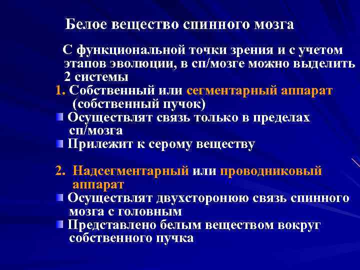 Белое вещество спинного мозга С функциональной точки зрения и с учетом этапов эволюции, в