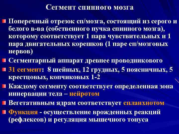 Сегмент спинного мозга Поперечный отрезок сп/мозга, состоящий из серого и белого в-ва (собственного пучка