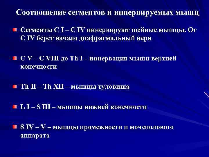 Соотношение сегментов и иннервируемых мышц Сегменты С I – C IV иннервируют шейные мышцы.