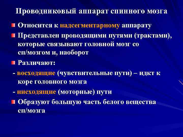 Проводниковый аппарат спинного мозга Относится к надсегментарному аппарату Представлен проводящими путями (трактами), которые связывают