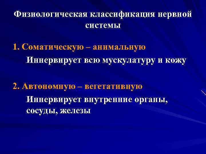 Физиологическая классификация нервной системы 1. Соматическую – анимальную Иннервирует всю мускулатуру и кожу 2.