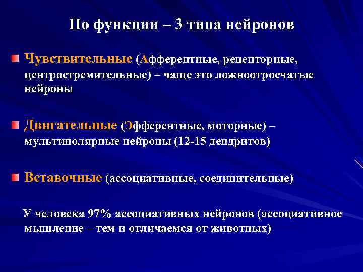 По функции – 3 типа нейронов Чувствительные (Афферентные, рецепторные, центростремительные) – чаще это ложноотросчатые