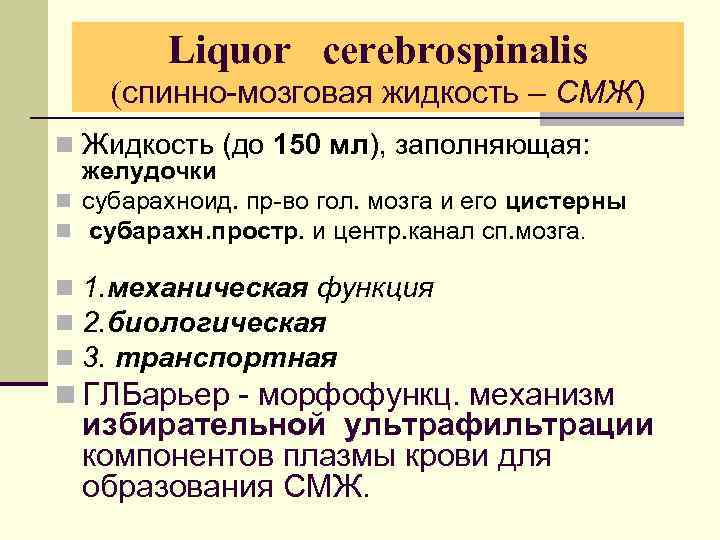 Liquor cerebrospinalis (спинно-мозговая жидкость – СМЖ) n Жидкость (до 150 мл), заполняющая: желудочки n