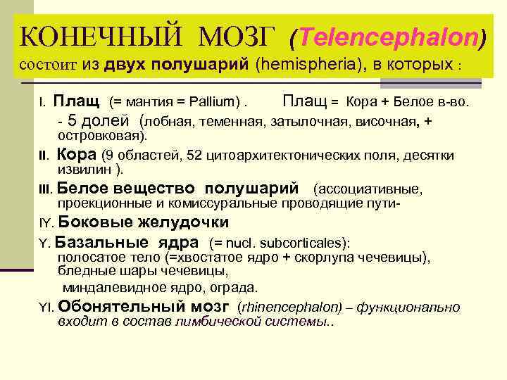 КОНЕЧНЫЙ МОЗГ (Telencephalon) состоит из двух полушарий (hemispheria), в которых : I. Плащ (=