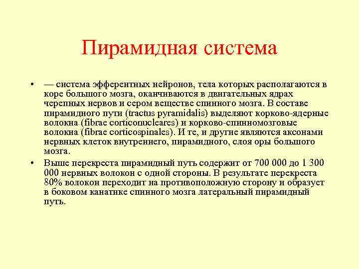 Пирамидная система • — система эфферентных нейронов, тела которых располагаются в коре большого мозга,