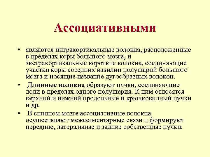 Ассоциативными • являются интракортикальные волокна, расположенные в пределах коры большого мозга, и экстракортикальные короткие