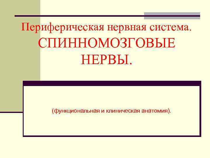 Периферическая нервная система. СПИННОМОЗГОВЫЕ НЕРВЫ. (функциональная и клиническая анатомия). 