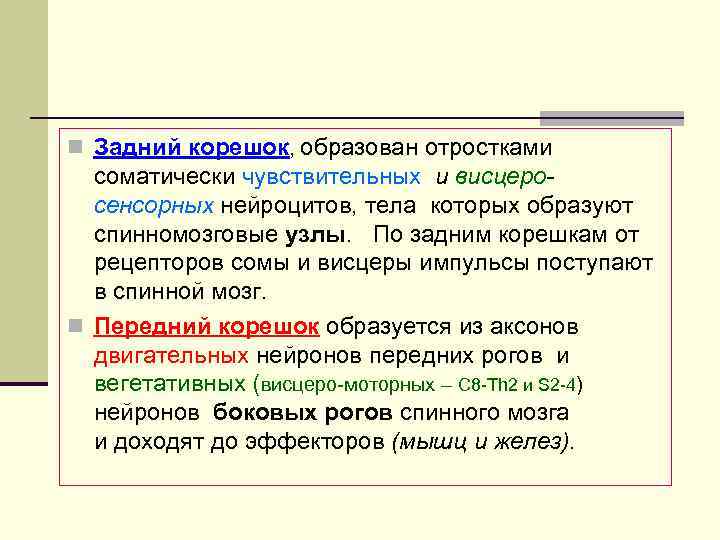 n Задний корешок, образован отростками соматически чувствительных и висцеросенсорных нейроцитов, тела которых образуют спинномозговые